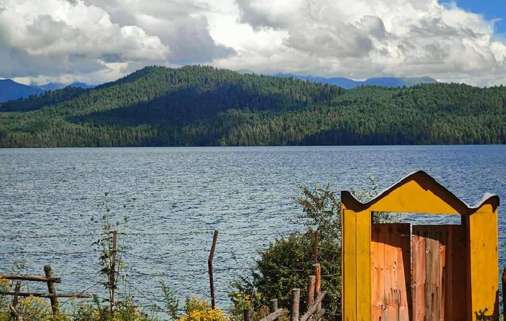 rara 41677903887.jpg